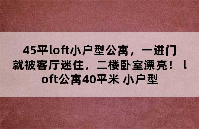 45平loft小户型公寓，一进门就被客厅迷住，二楼卧室漂亮！ loft公寓40平米 小户型